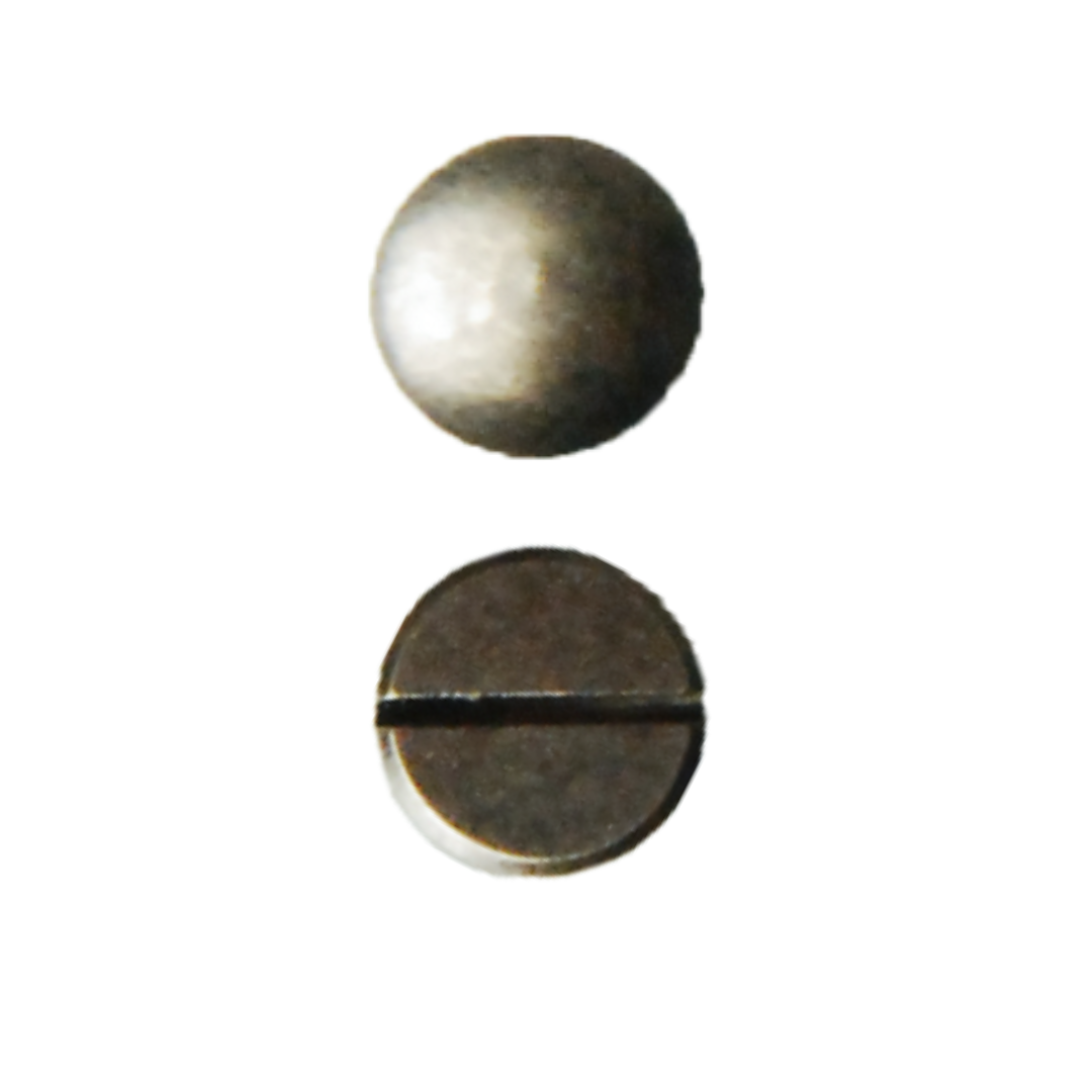 Long-Leg Screw Rivet Ø8mm × 8mm