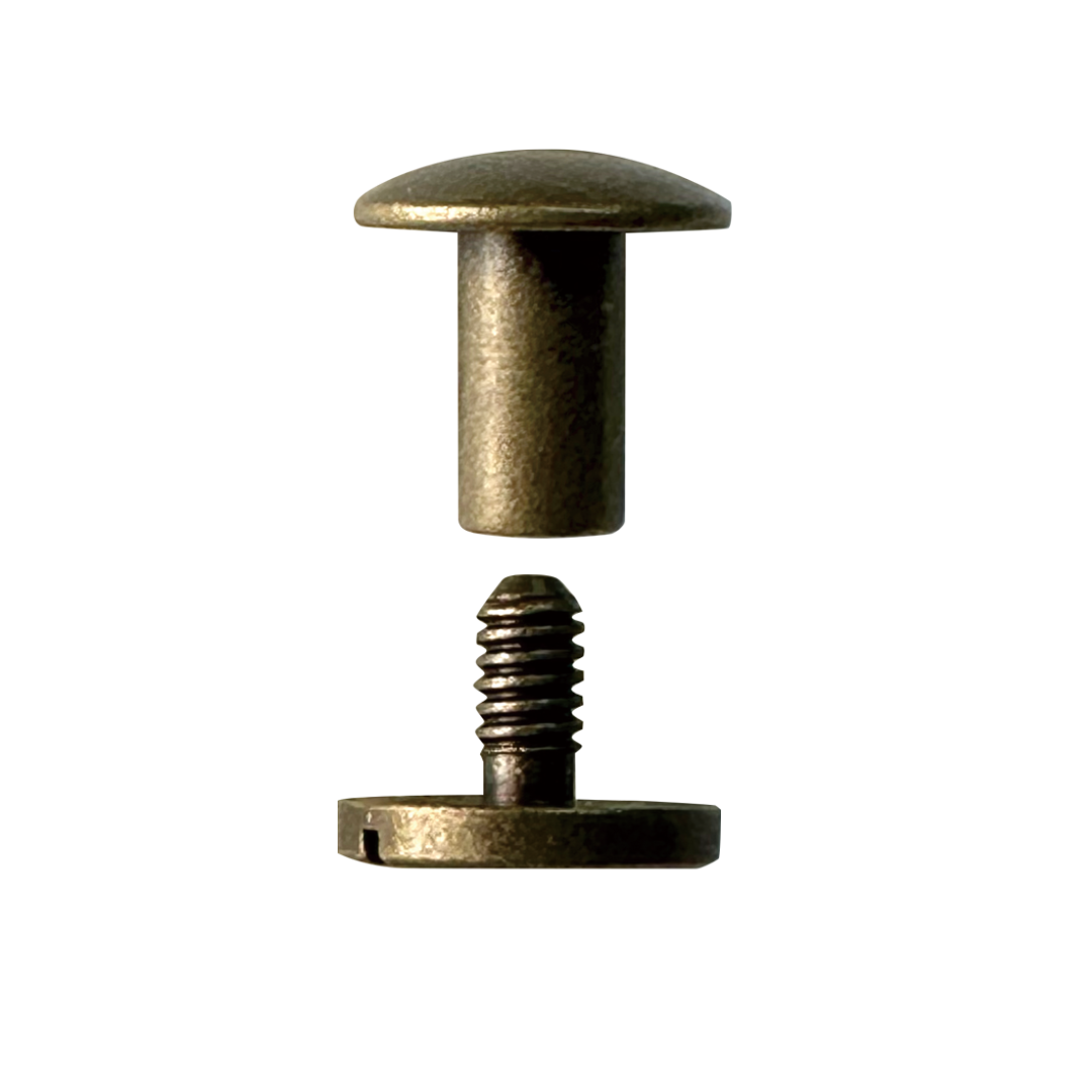 Long-Leg Screw Rivet Ø10mm × 8mm